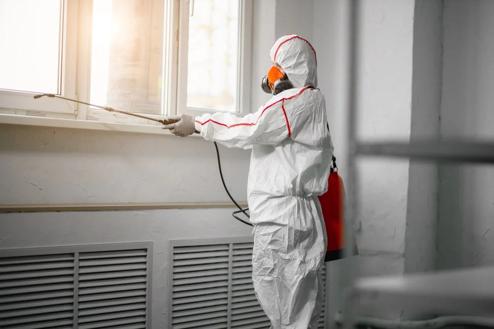 Professional mold remediation services in Hackensack, NJ
